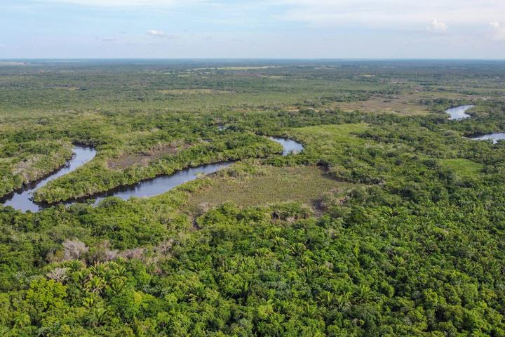 Guinea_River